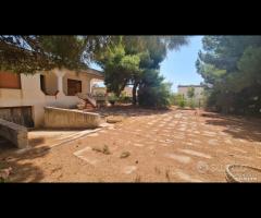 Triscina villa 6,5 vani + giardino a pochi passi d - 17