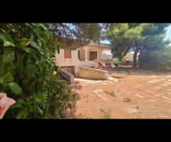 Triscina villa 6,5 vani + giardino a pochi passi d - 18