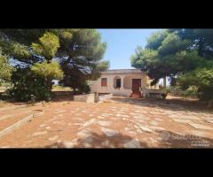 Triscina villa 6,5 vani + giardino a pochi passi d - 19