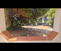 Triscina villa 6,5 vani + giardino a pochi passi d - 23