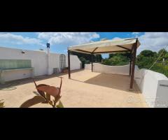 Triscina villetta 5 vani con ampio terrazzo - 28