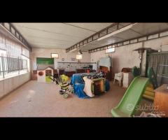 Selinunte casa ind. zona centrale - 15