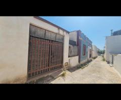 Selinunte casa ind. zona centrale - 17