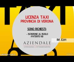 TAXI PROVINCIA VERONA