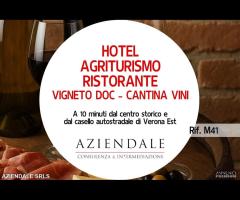 HOTEL/AGRITURISMO/VIGNETO DOC E CANTINA VINI