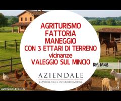 AGRITURISMO-FATTORIA- MANEGGIO-3 ETTARI DI TERRENO