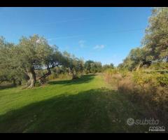 Terreno zona SPORTIN CLUB rif. 150/25 - 6