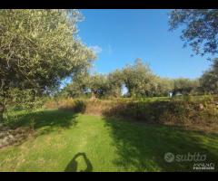 Terreno zona SPORTIN CLUB rif. 150/25 - 7