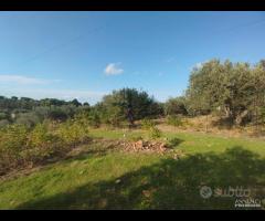 Terreno zona SPORTIN CLUB rif. 150/25 - 9