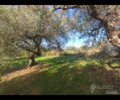 Terreno zona SPORTIN CLUB rif. 150/25 - 10