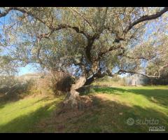 Terreno zona SPORTIN CLUB rif. 150/25 - 12