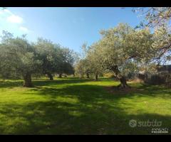 Terreno zona SPORTIN CLUB rif. 150/25 - 13