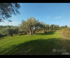 Terreno zona SPORTIN CLUB rif. 150/25 - 14