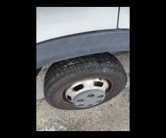 Iveco daily cassonato lega - 9