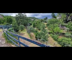 Villetta con terreno a Puntalazzo- Mascali - 29