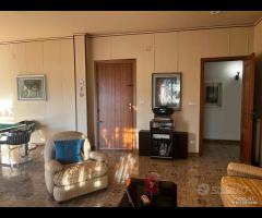 Serradifalco/Pacinotti 6 vani +p.auto rif.158/25 - 15