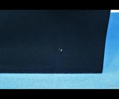 Porta Sportello Anteriore SX Nera BMW F20 (V63) - 8