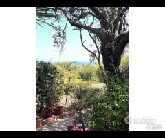 Rif.147/25_proz.villa Bifamiliare a Terrasini