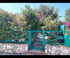 Rif.147/25_proz.villa Bifamiliare a Terrasini