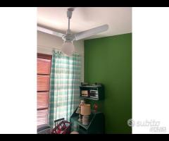 Rif.147/25_proz.villa Bifamiliare a Terrasini - 19