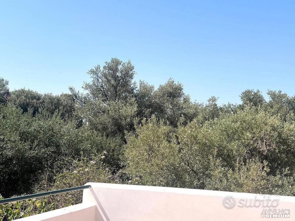 Rif.147/25_proz.villa Bifamiliare a Terrasini - 23/25