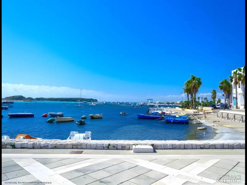 Lastminute SETTEMBRE Luxury Porto Cesareo - 21/27
