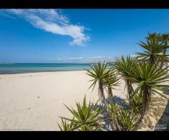 Porto Cesareo Appartamento Grande per 8 Persone - 12