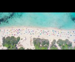 Porto Cesareo Centralissimo Monolocale Con Cucina - 13