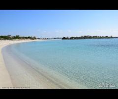 Porto Cesareo Centralissimo Monolocale Con Cucina - 15