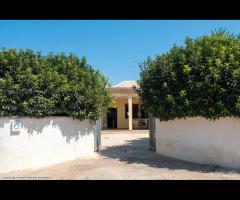 Villa Privata Per Vacanze Porto Cesareo