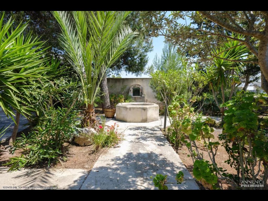 Villa Privata Fronte Lidi Punta Prosciutto - 16/21