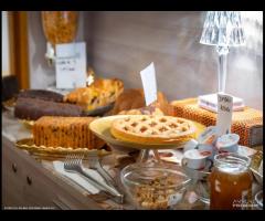 Sul mare a Porto Cesareo Colazione Inclusa - 6