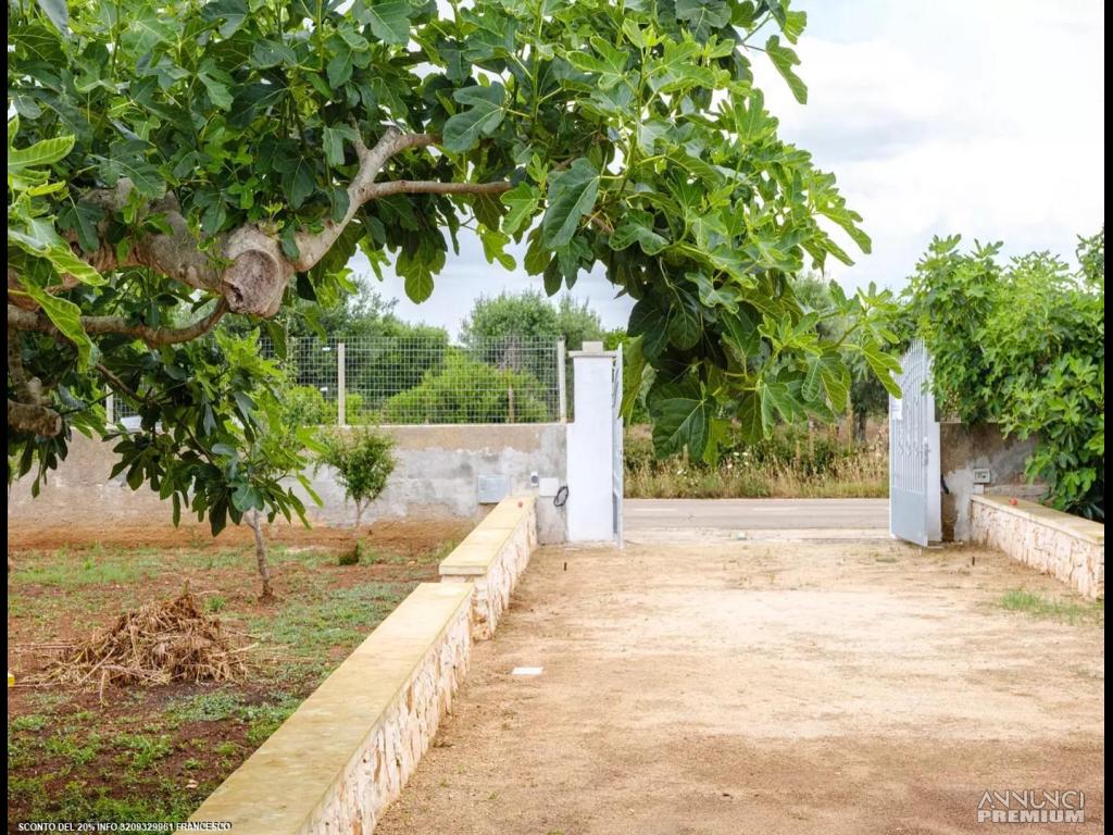 Villa Zona Lidi a Torre Lapillo-Punta Prosciutto - 21/30