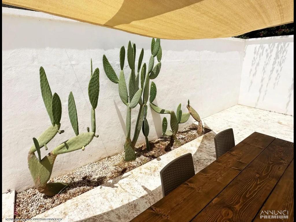 Villa Fronte Lido Stella Maris Porto Cesareo - 28/28