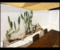 Villa Fronte Lido Stella Maris Porto Cesareo - 28
