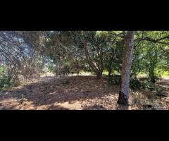 Antico casale con terreno a Carrubba di Giarre