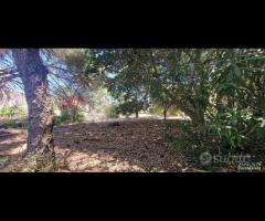 Antico casale con terreno a Carrubba di Giarre - 6