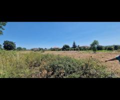 Antico casale con terreno a Carrubba di Giarre - 9