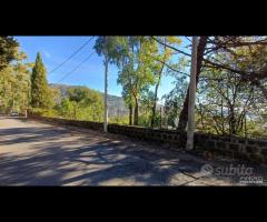 Terreno agricolo 5.500mq a Piedimonte Etneo