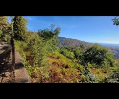 Terreno agricolo 5.500mq a Piedimonte Etneo