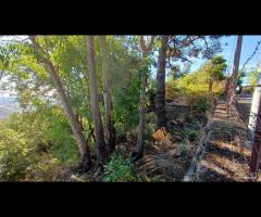 Terreno agricolo 5.500mq a Piedimonte Etneo
