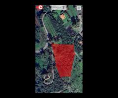 Terreno agricolo 5.500mq a Piedimonte Etneo