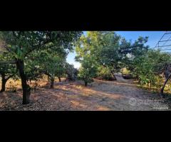 Casa singola con terreno a Portosalvo-Mascali - 15
