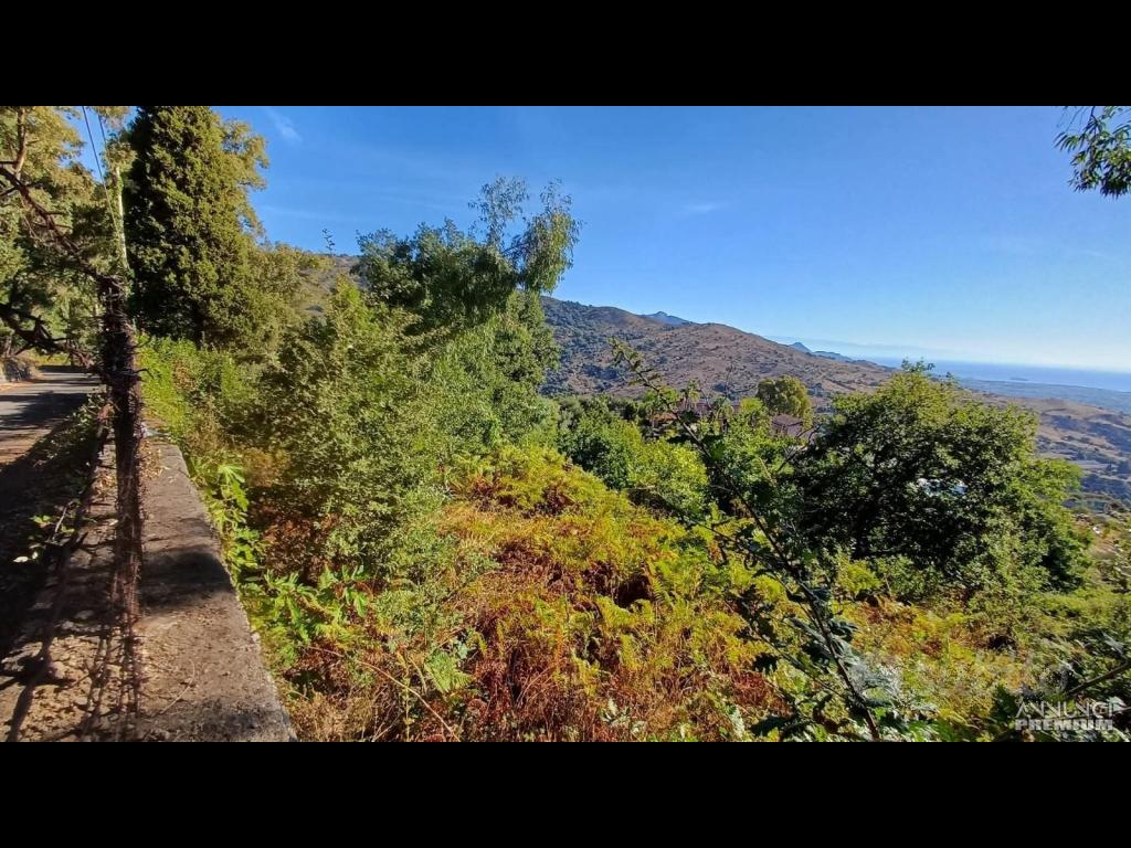 Terreno agricolo 5.500mq e rudere Piedimonte Etneo - 3/5