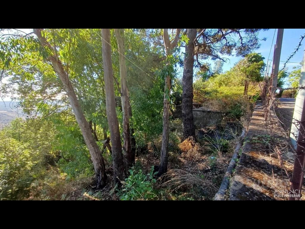 Terreno agricolo 5.500mq e rudere Piedimonte Etneo - 4/5
