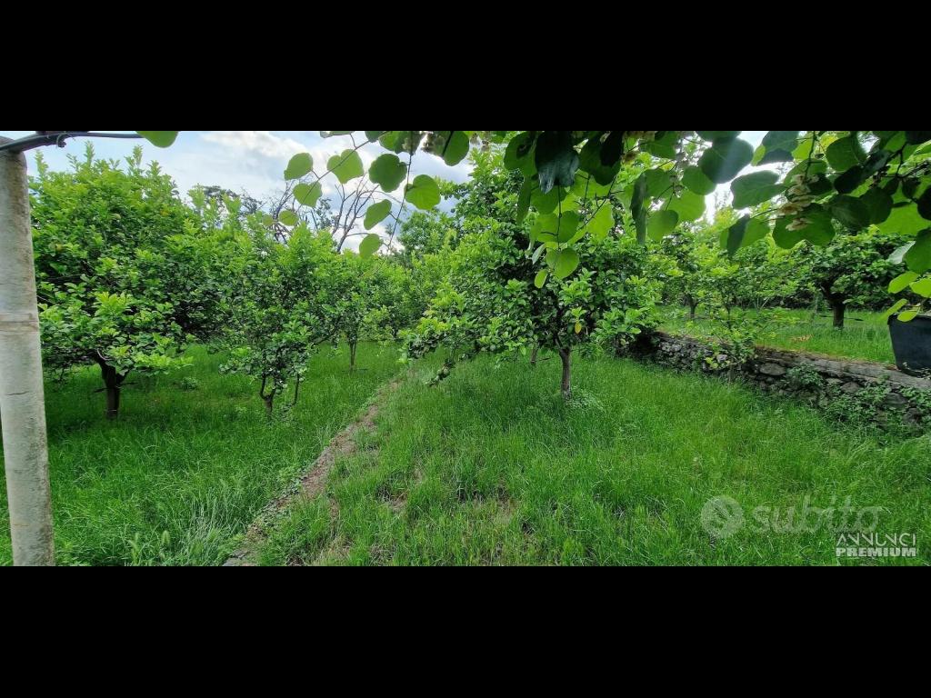 Casa di campagna con terreno a Santa Venerina - 9/12
