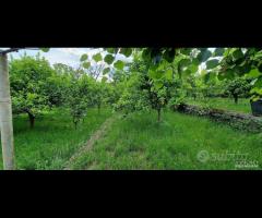 Casa di campagna con terreno a Santa Venerina - 9