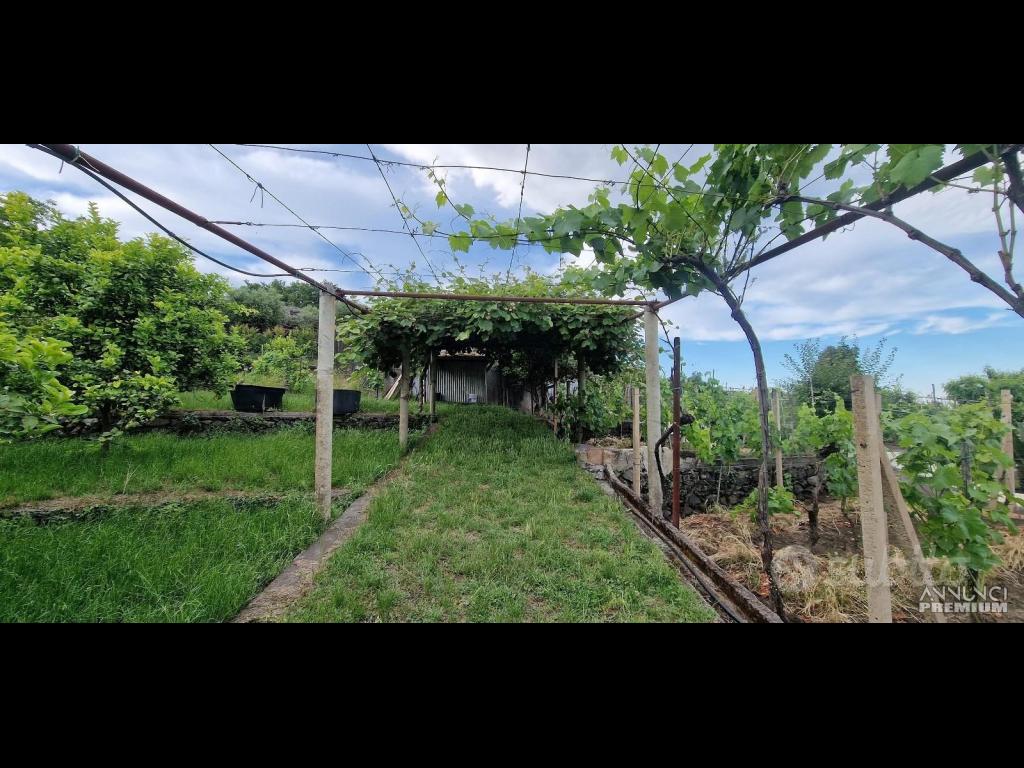 Casa di campagna con terreno a Santa Venerina - 10/12