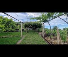 Casa di campagna con terreno a Santa Venerina - 10