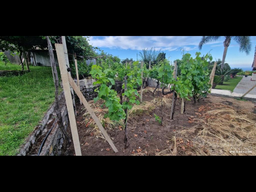 Casa di campagna con terreno a Santa Venerina - 12/12